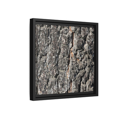 Aged Beauty - Unique Stretched Canvas Wall Art