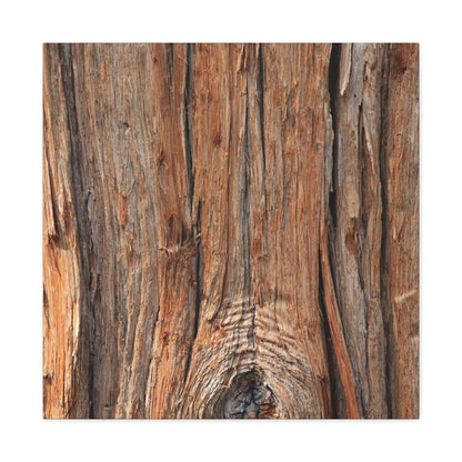Bark's Ancient Whispers - Unique Frameless Canvas Wall Art