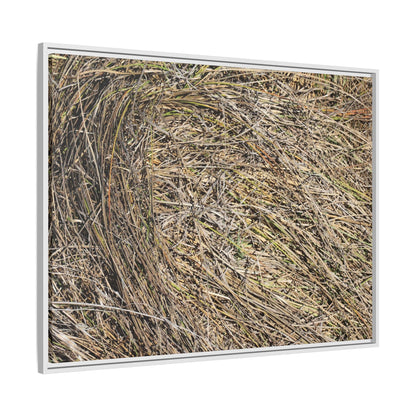 Tangled Grass Symphony - Unique Stretched Canvas Wall Art - Art By Earth