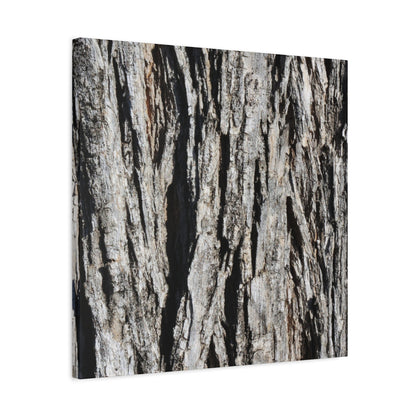 Bark Textures in Monochrome - Unique Frameless Canvas Wall Art