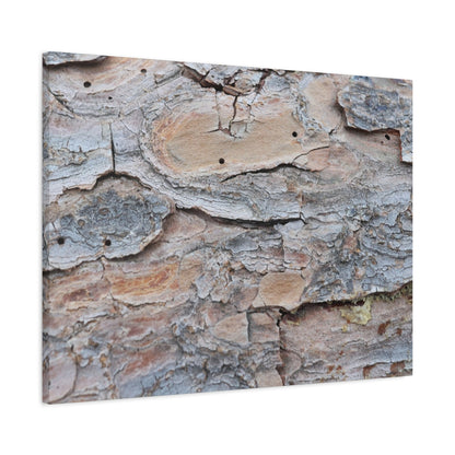 Textural Geology - Unique Frameless Canvas Wall Art
