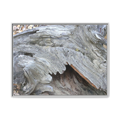 Driftwood Dreams - Unique Stretched Canvas Wall Art