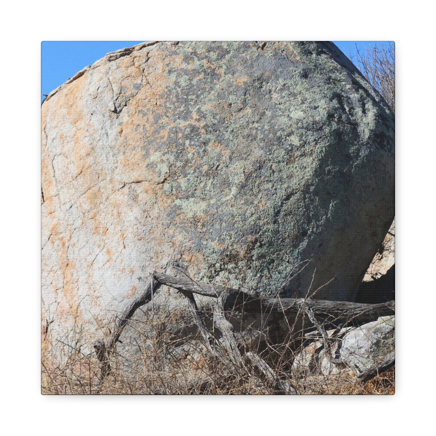 Boulder's Solitude - Unique Stretched Canvas Wall Art - Art By Earth