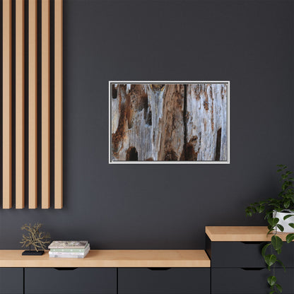 Decaying Splendor - Unique Stretched Canvas Wall Art