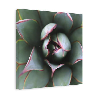 Emerald Spiral - Unique Frameless Canvas Wall Art