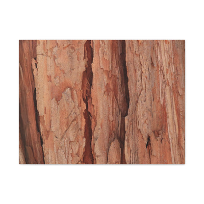 Bark Layers of Time - Unique Frameless Canvas Wall Art