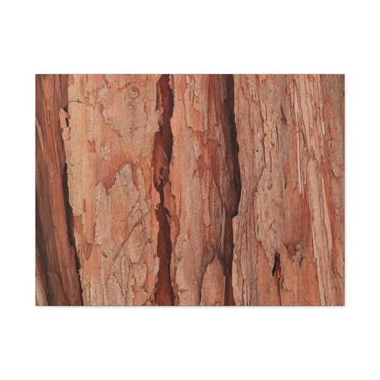 Bark Layers of Time - Unique Frameless Canvas Wall Art