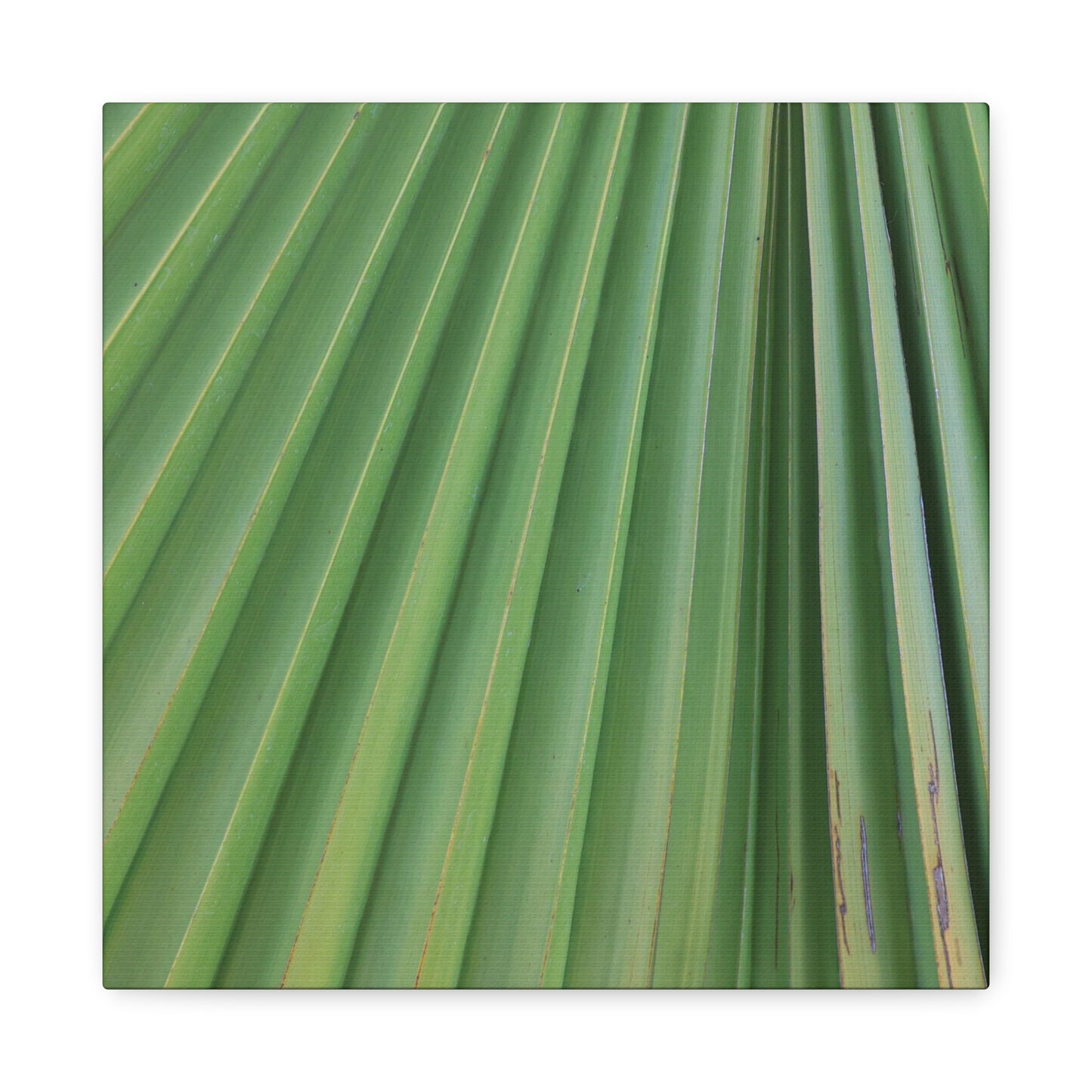 Palm Pulse - Unique Frameless Canvas Wall Art