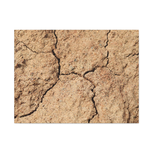 Cracked Earth's Lament - Unique Frameless Canvas Wall Art