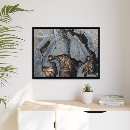 Time's Fractal Memory - Unique Stretched Canvas Wall Art