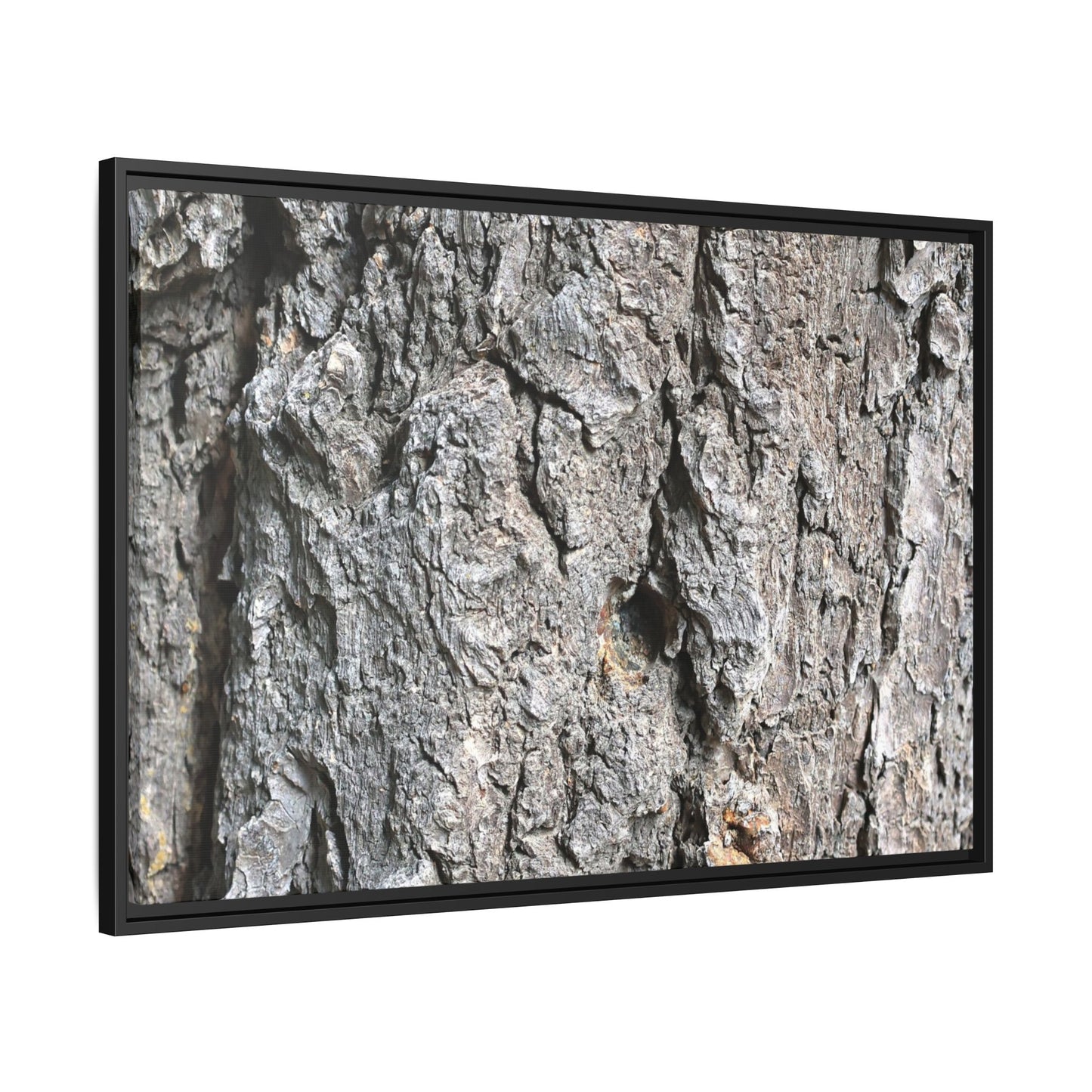 Crusty Exterior - Unique Stretched Canvas Wall Art