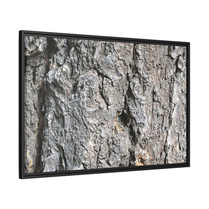 Crusty Exterior - Unique Stretched Canvas Wall Art