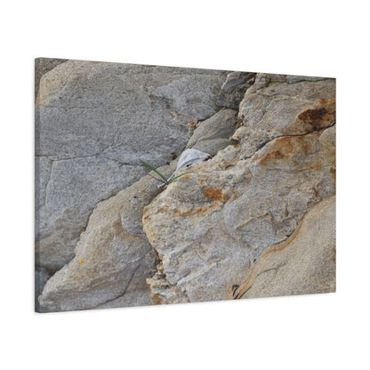 Fractal Earth - Unique Frameless Canvas Wall Art