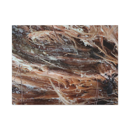 Decaying Whispers - Unique Frameless Canvas Wall Art