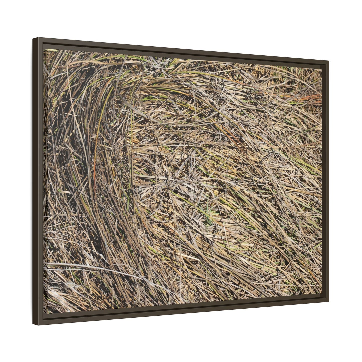 Tangled Grass Symphony - Unique Stretched Canvas Wall Art - Art By Earth
