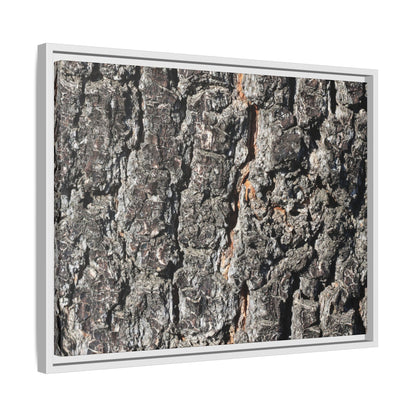 Aged Beauty - Unique Stretched Canvas Wall Art