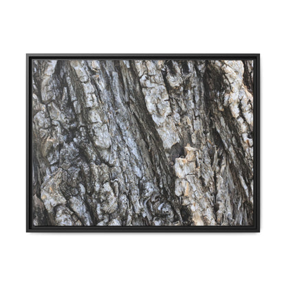 Twisted Textures - Unique Stretched Canvas Wall Art