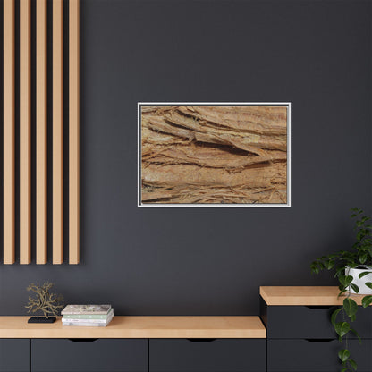 Splintered Bark - Unique Stretched Canvas Wall Art