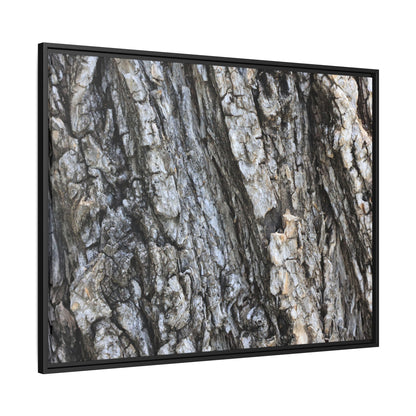 Twisted Textures - Unique Stretched Canvas Wall Art