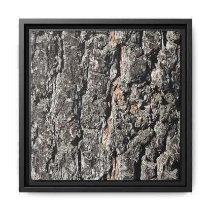 Aged Beauty - Unique Stretched Canvas Wall Art