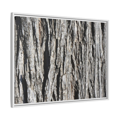 Nature's Abstract - Unique Stretched Canvas Wall Art