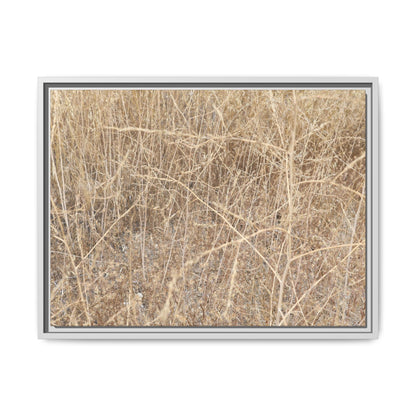 Golden Stalks - Unique Stretched Canvas Wall Art