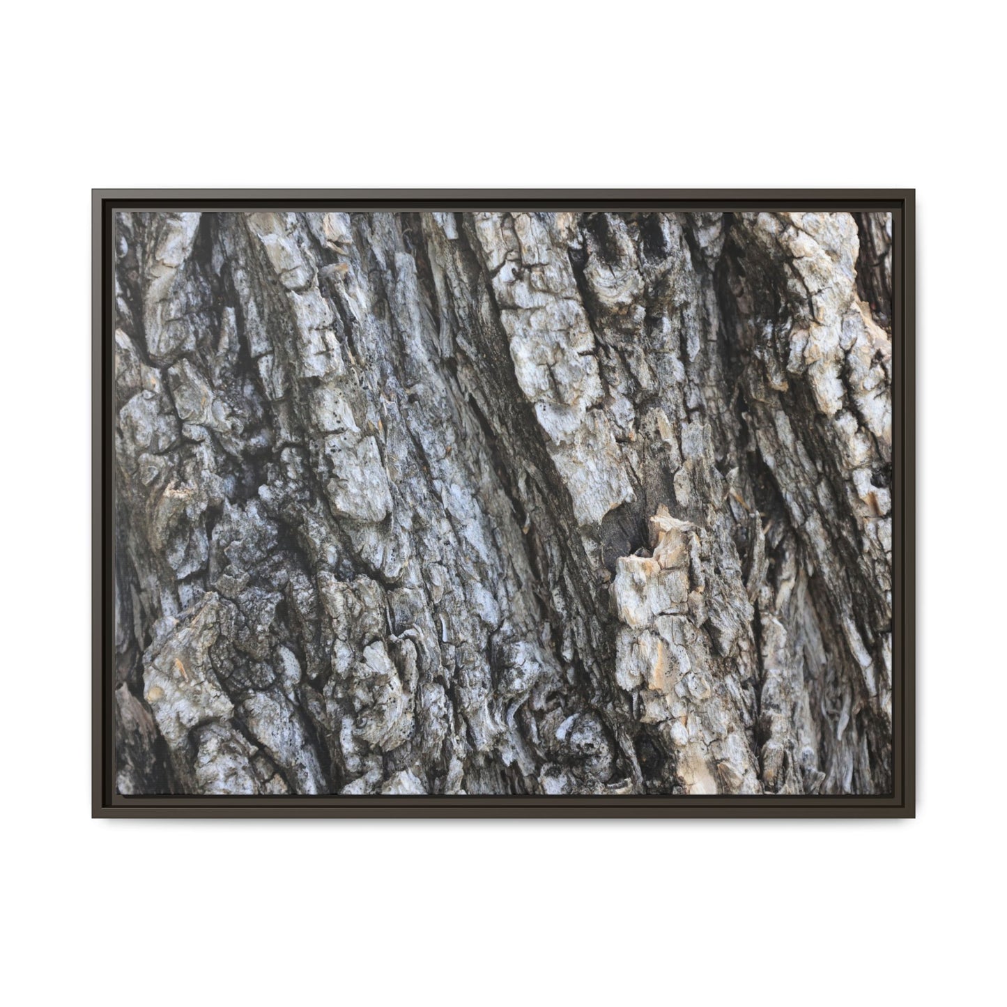 Twisted Textures - Unique Stretched Canvas Wall Art