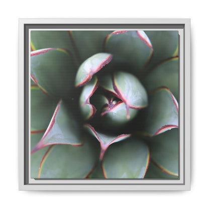 Spiky Elegance - Unique Stretched Canvas Wall Art