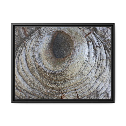 Echoes of Time - Unique Stretched Canvas Wall Art