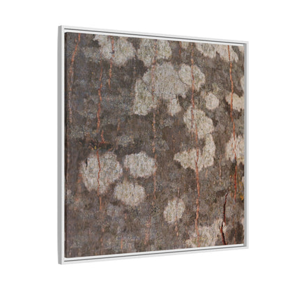 Lichen's Legacy - Unique Stretched Canvas Wall Art