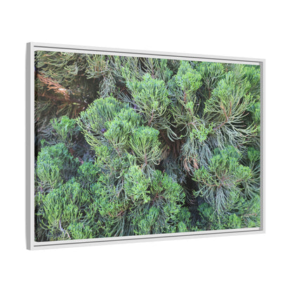 Verdant Whispers - Unique Stretched Canvas Wall Art