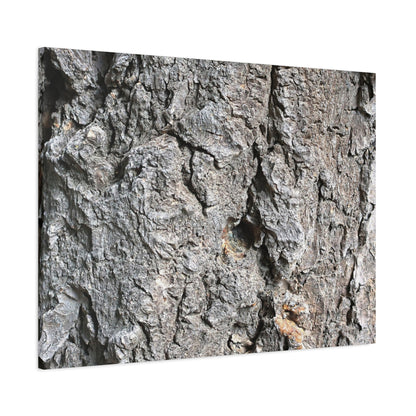 Elemental Canvas - Unique Frameless Canvas Wall Art