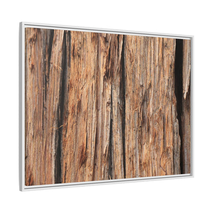 Timber Echoes - Unique Stretched Canvas Wall Art