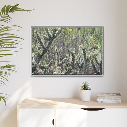 Prickly Paradise - Unique Stretched Canvas Wall Art