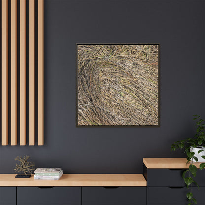 Tangled Grass Symphony - Unique Stretched Canvas Wall Art - Art By Earth