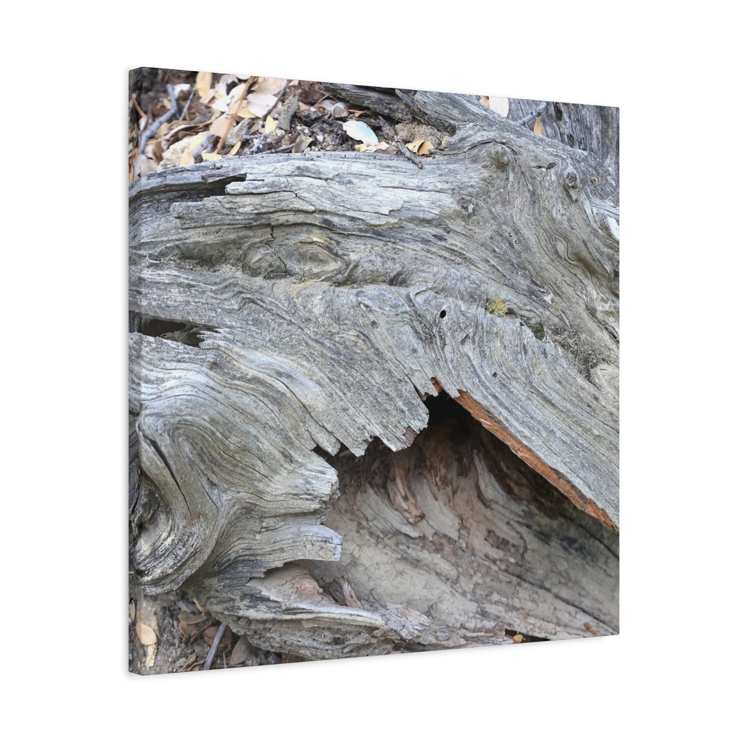 Whispers of Ancient Wood - Unique Frameless Canvas Wall Art