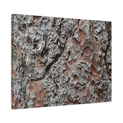 Textured Whispers of Bark - Unique Frameless Canvas Wall Art