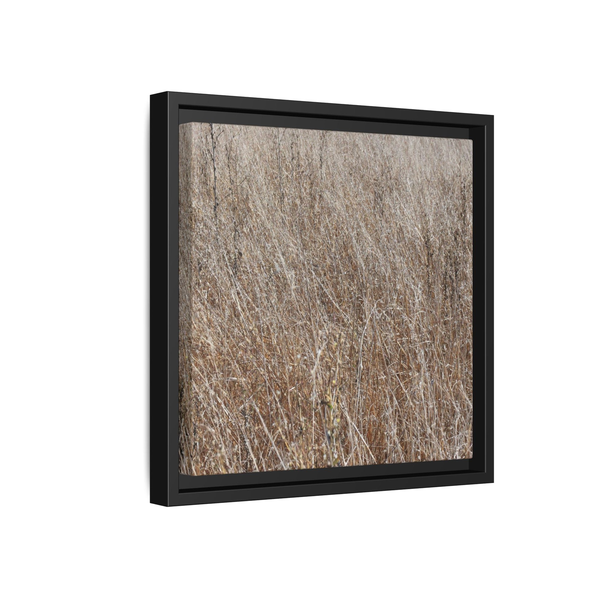 Dry Grass Symphony - Unique Stretched Canvas Wall Art - Art By Earth