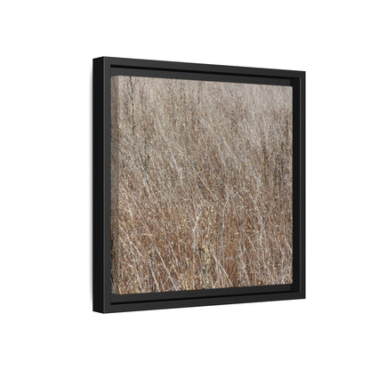 Dry Grass Symphony - Unique Stretched Canvas Wall Art - Art By Earth