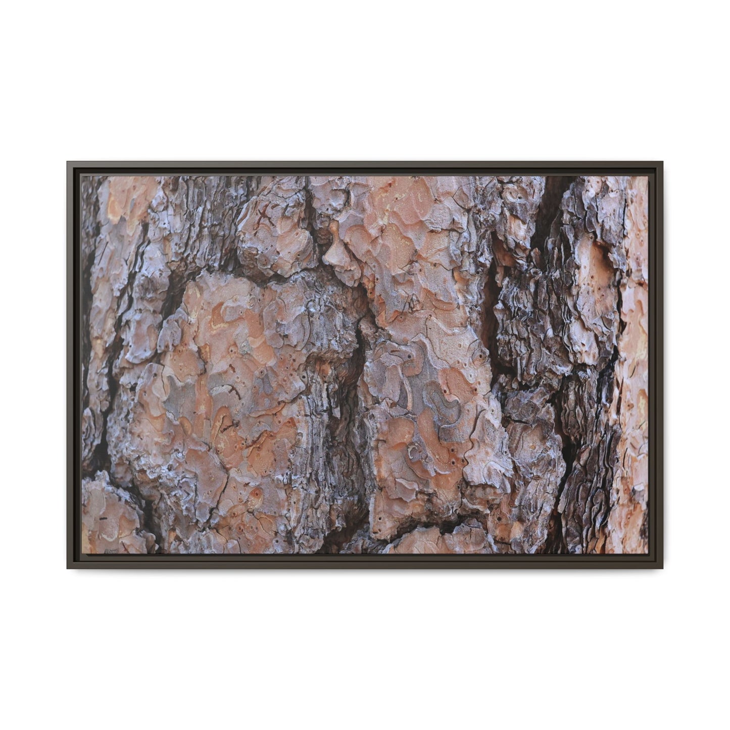 Tree Skin Symphony - Unique Stretched Canvas Wall Art