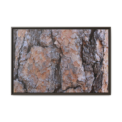 Tree Skin Symphony - Unique Stretched Canvas Wall Art