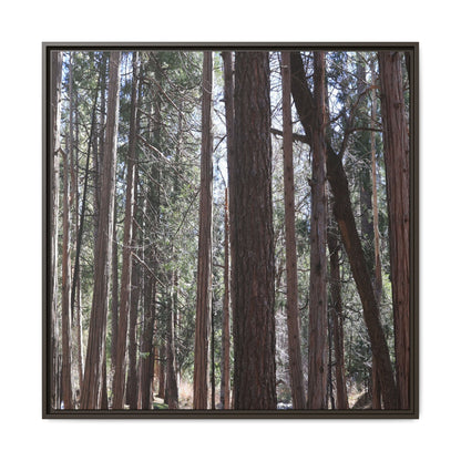 Forest Cathedral - Unique Stretched Canvas Wall Art