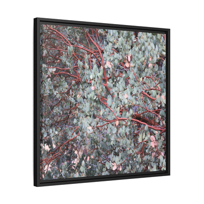 Whispers of Sage - Unique Stretched Canvas Wall Art