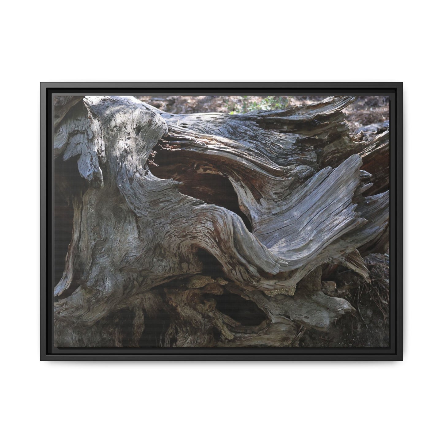 Twisted Memories - Unique Stretched Canvas Wall Art