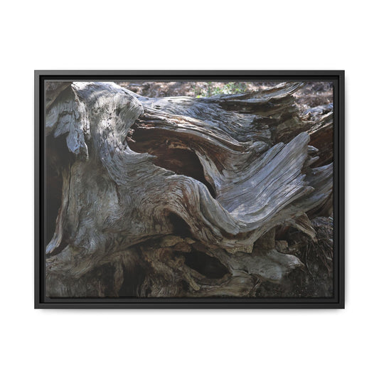 Twisted Memories - Unique Stretched Canvas Wall Art