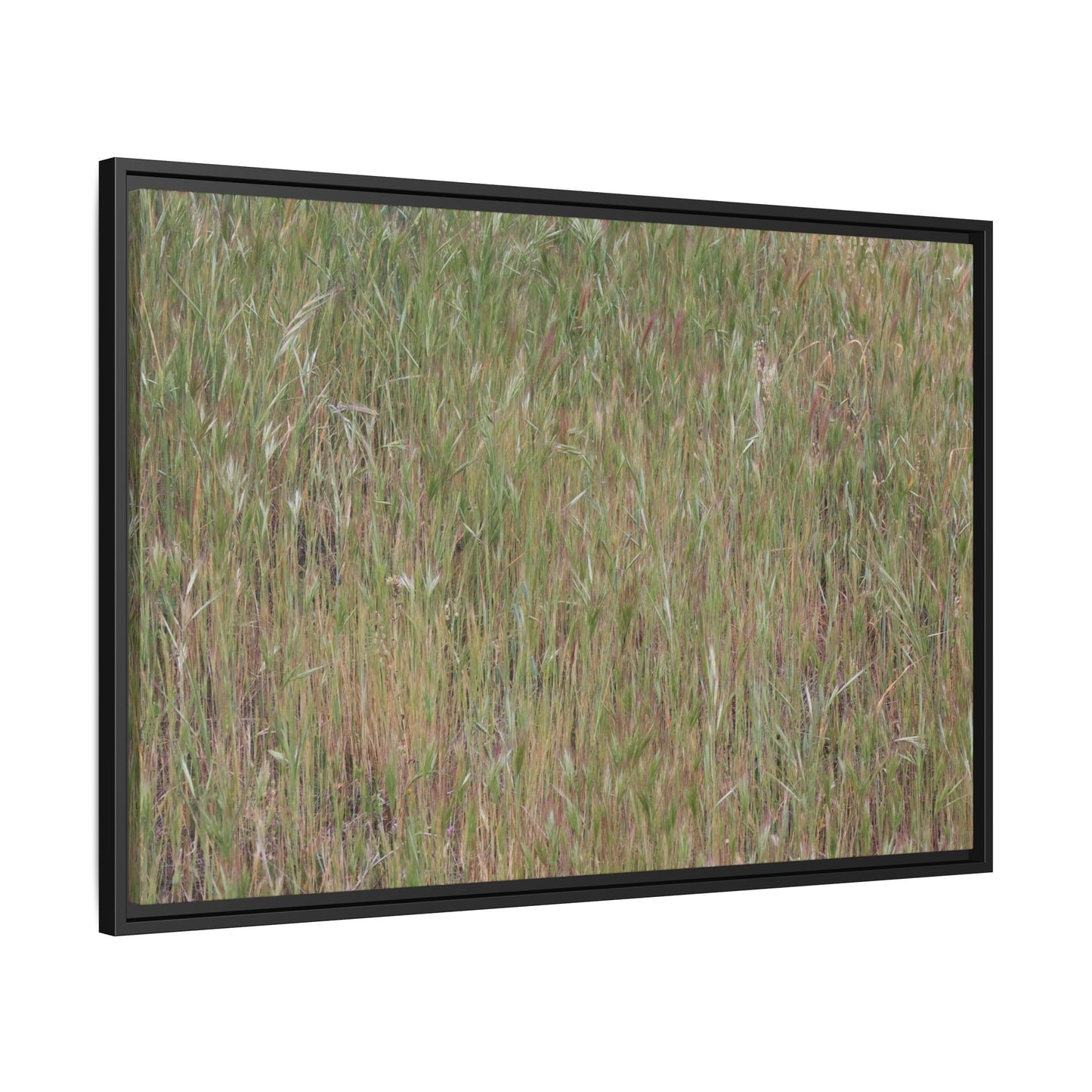 Field of Dreams - Unique Stretched Canvas Wall Art