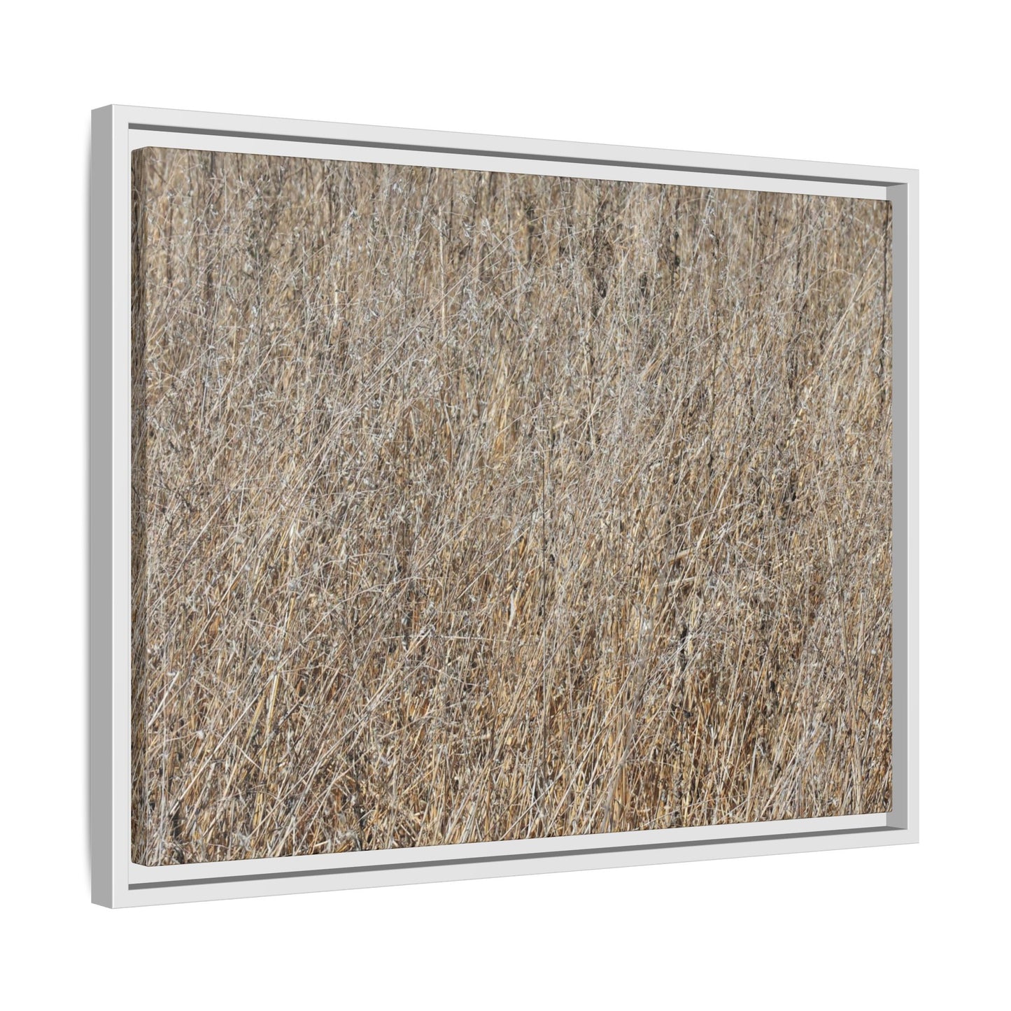 Whispers of Straw - Unique Stretched Canvas Wall Art - Art By Earth