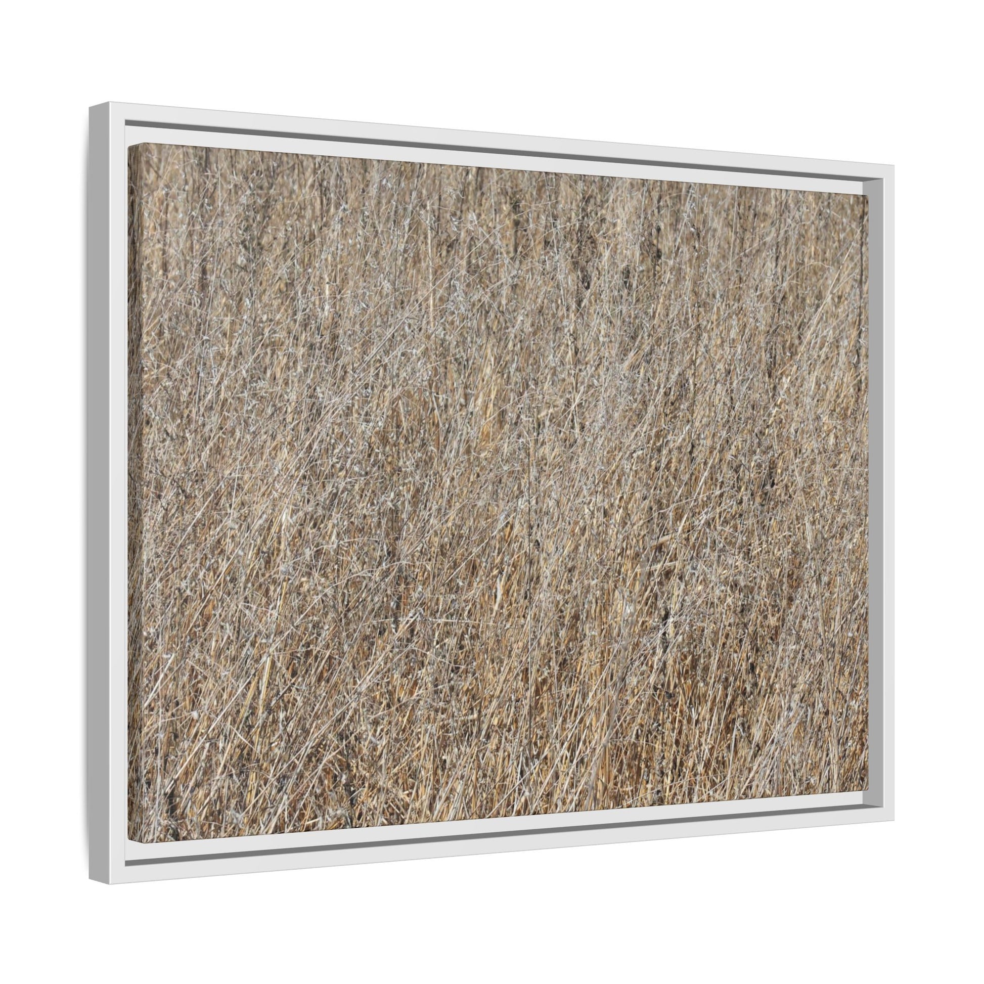 Whispers of Straw - Unique Stretched Canvas Wall Art - Art By Earth