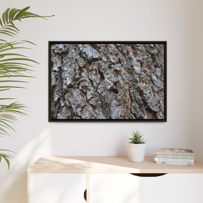 Woodland Canvas - Unique Stretched Canvas Wall Art