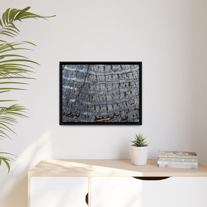 Charred Memories - Unique Stretched Canvas Wall Art